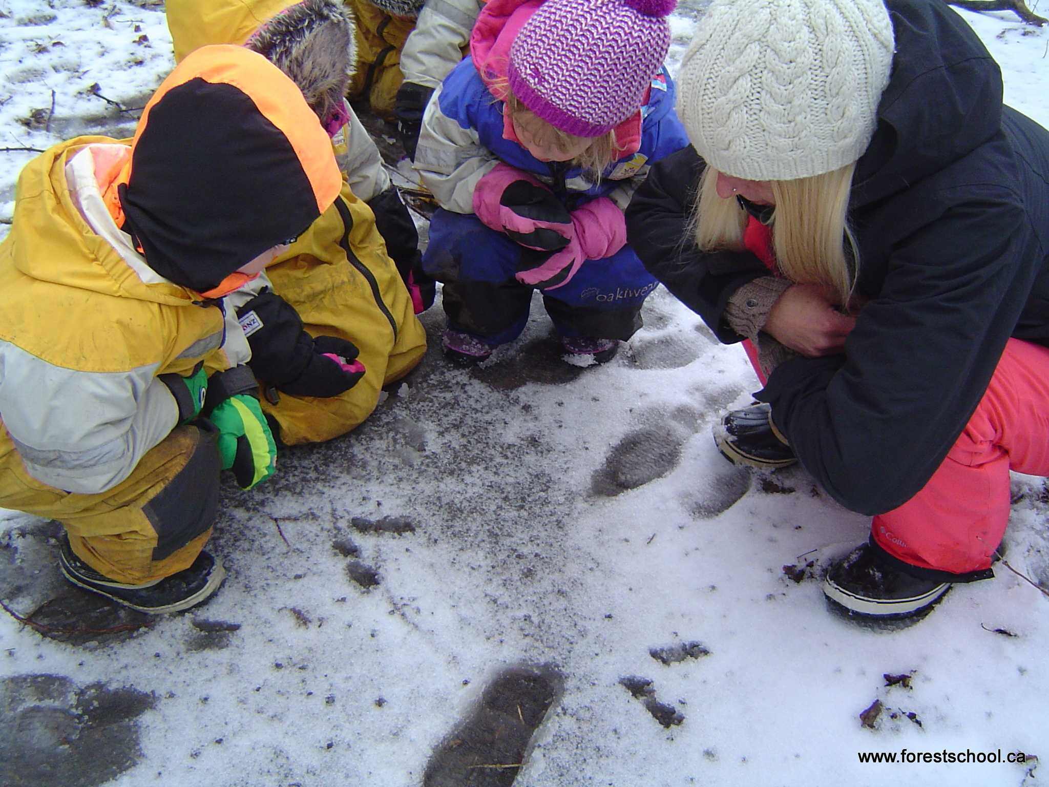 looking at tracks with Chelsa and others